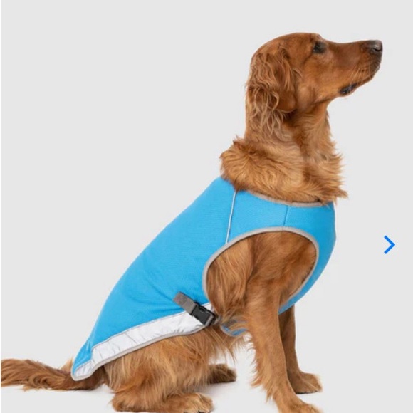 COPY - Canada Pooch Chill Seeker dog cooling vest size 16 NWT blue and gray - Picture 2 of 7